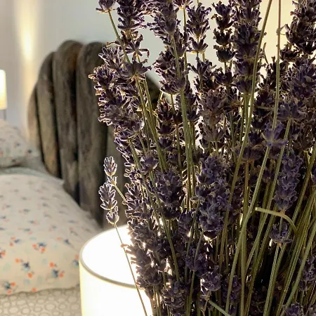Hortenzias Haz Holiday home *