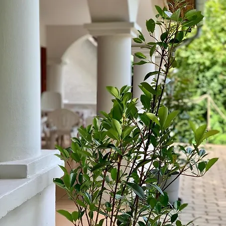 Hortenzias Haz * Nemesvita